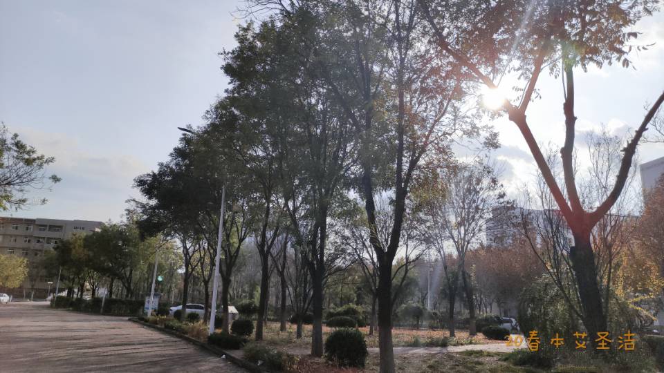 宝盈官方网站